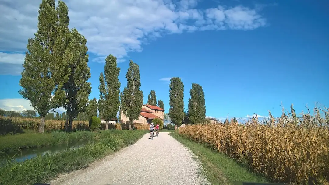 farm activities in venice